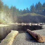 The Sounds Of Silence