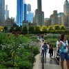 Born And Bred Chicago Girl Rediscovers Her Roots
