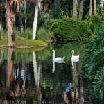 Gardens