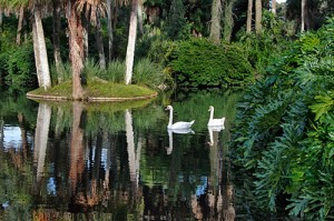 Gardens
