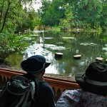 Window on the Pond