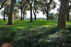 View from Top
