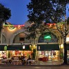 Peacocks Take Center Stage in Coconut Grove, Miami