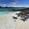 Adventures with Sea Lions in the Galapagos Islands