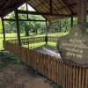 Heartbreak in Cambodia