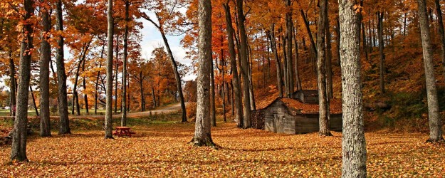 Vermont Fall Foliage