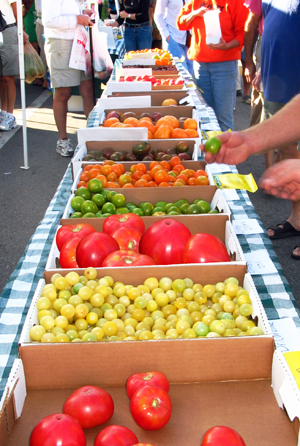 Delicious Heirloom tomatoes come in all shapes and colors