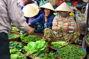 Selling leafy green vegetables in the central market