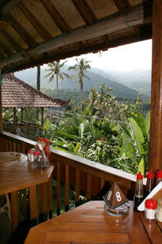 View from the open air restaurant at the Puri Lumbug Cottages in Munduk, located in the central mountains of Bali