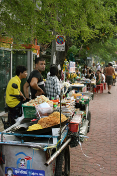 Stray dogs and cats around street food vendors bangkok thailand