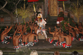 The white monkey, Hanuman, enters the dance in bali