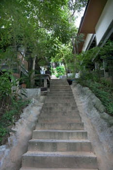 Stone steps leading to the mountaintop on Phi Phi Don Thailand