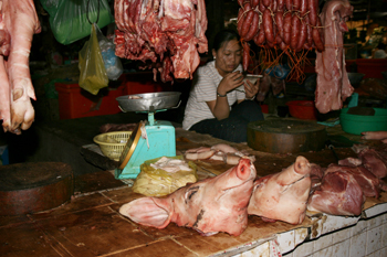 Whole pics heads sit on counters in market in Siem Reap, Cambodia
