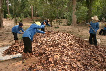 Manually raking leaves onto tarps so they can be carried into the jungle