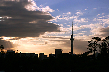Sky Tower from Aucklland Domain New Zealand