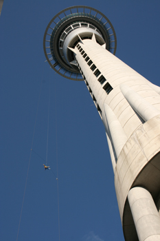 Bungee jumping off the Sky Tower Auckland New Zealand