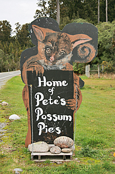 Possums cuisine in New Zealand