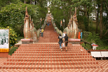 306 steps lead to the Wat Doi Suthep, Chaing Mai's spectacular mountaintop temple