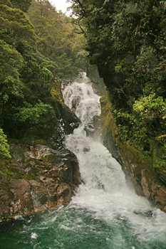 Falls Creek on the west coast of New Zealand