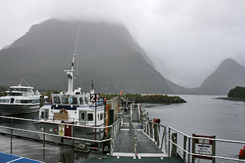 Harbor at Milford Sound New Zealand