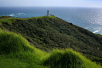 Cape Reinga lighthouse New Zealand
