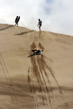 Sandboarding down the Northland dunesNew Zealand