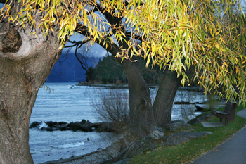 Walking along the shore Lake Wakatipu Queenstown New Zealand