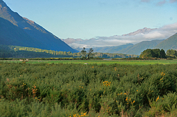 High alpine meadow on the TranzAlpine Railway New Zealand