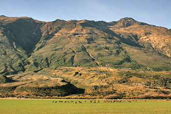 Upper Clutha Valley New Zealand