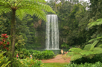 Milla Milla Falls Atherton Tablelands Cairns Australia