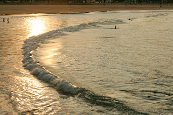 setting sun turns beach to liquid gold in Manly Australia