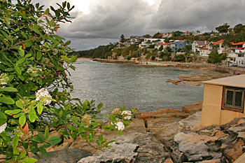 Along the path to the Cabbage Tree Bay Aquatic Reserve in Manly Australia