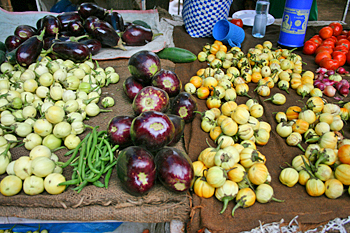 Amazing variety of produce Arusha Tanzania