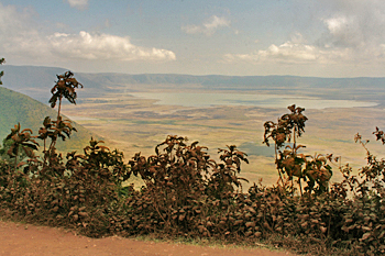 From atop the rim, looking across the vast collapsed Ngorongoro crater in Tanzania