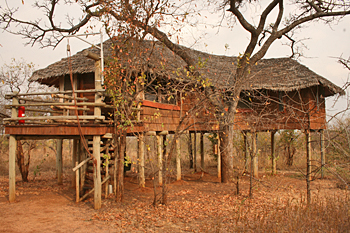 My cabin at Tarangire National Park Tanzania