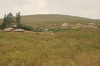 All these huts in Monduli Tanzania are owned by one Maasai warrior - one hut per wife