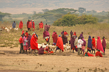 The weekly Maasai "Red Market" in Monduli Juu Tanzania