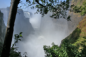 Victoria Falls Park, Zimbabwe