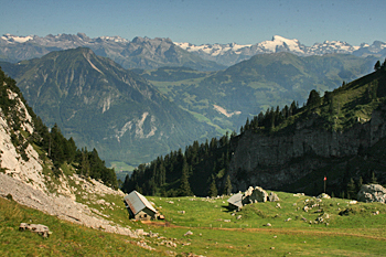 High meadows on Mount Pilatus Switzerland