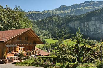 Lush green valley in Lauterbrunnen Switzerland
