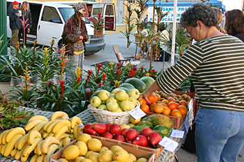 Farmer's Market in Sarasota, Florida