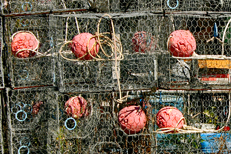 Stacked crab traps