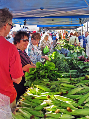 Farmer's market Sarasota