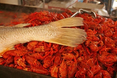 Bradenton Seafood Festival