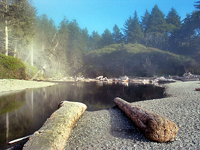 Olympic National Park Washington State Ruby Beach