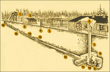 The Great WWII Escape from Stalag Luft through Tunnel Harry