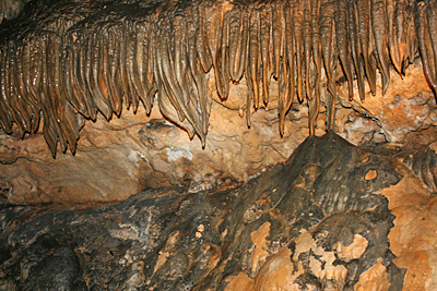 Luray Caverns Virginia Fish Market