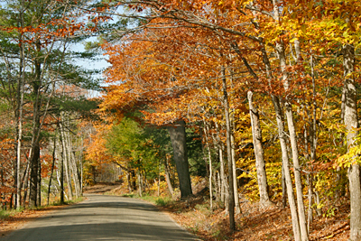 Vermont Fall Foliage