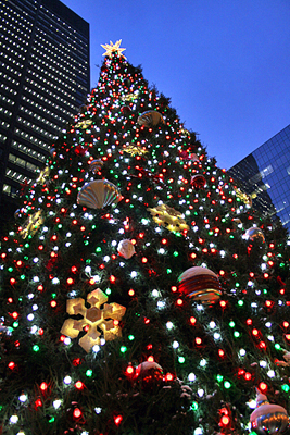 chicago_christmas_tree