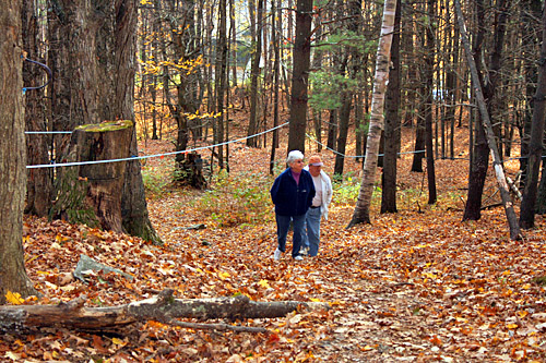 sugarbush_farm_sap_lines